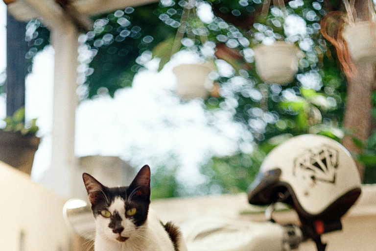 Leuven by Vespa - Guided Tour: city and highlights