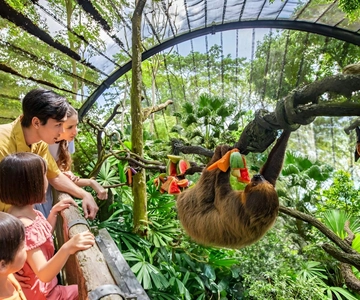 Singapore Zoo: 1-Day Entrance E-Ticket