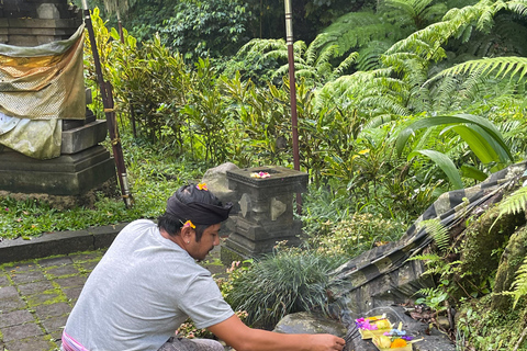 Bali: Tour del villaggio di Taro e del tempio dell&#039;acqua di sorgente sacraTour del Tempio dell&#039;Acqua Santa con trasporto da Ubud