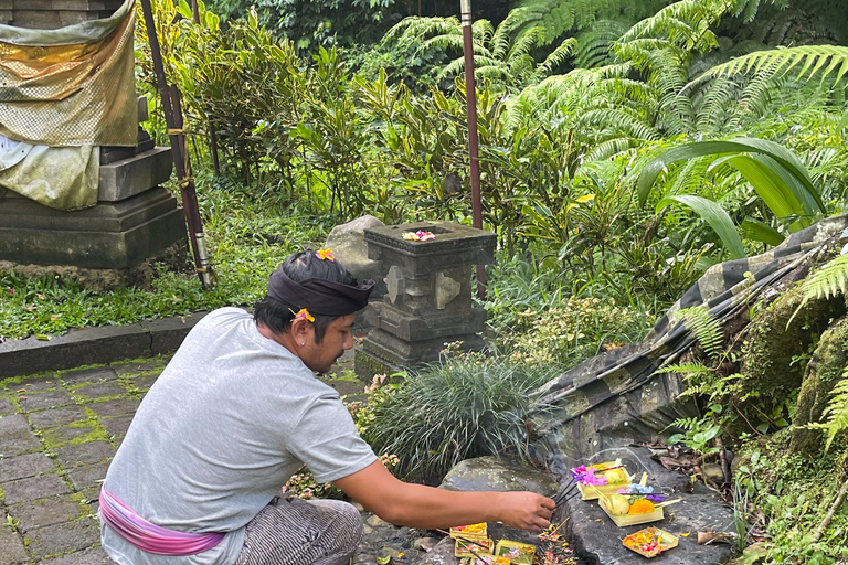 Bali: Tour del villaggio di Taro e del tempio dell&#039;acqua di sorgente sacraTour del Tempio dell&#039;Acqua Santa con trasporto da Ubud