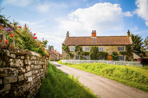 From York: Yorkshire Moors and Whitby Small-Group Day Trip