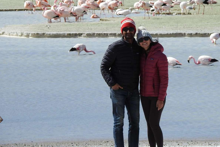 Vanuit Uyuni: 3-daagse Salar de Uyuni en nationaal reservaat tour