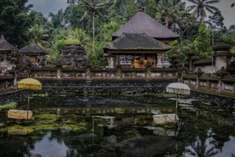 بالي: غابة القرود، شرفة الأرز، معبد الماء، الشلالجولة خاصة مع تذكرة الدخول والغداء