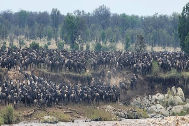 Moshi: 9-Day Safari to Serengeti, Ngorongoro & Tarangire