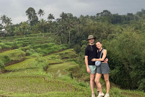 特特巴图：瀑布、香料、梯田、猴子森林特特巴图之旅、香料、瀑布、梯田、猴林