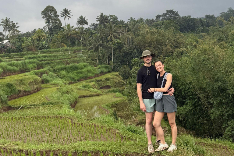 特特巴图：瀑布、香料、梯田、猴子森林特特巴图之旅、香料、瀑布、梯田、猴林