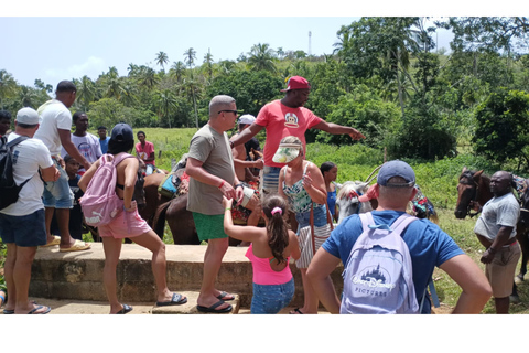 Punta Cana: Samaná Cayo Levantado & El Limón Waterfall Tour Samaná Meeting Point with Tour in Arabic