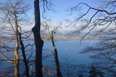 Lucerne Train to Luxury Resort Tour top Hidden Pilatus view Lucerne Train to Resort Tour top amazing Hidden Pilatus view