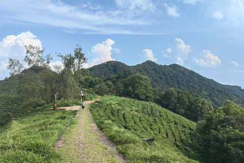 Hangzhou Jiuxi, Shililangdang & Yunqi Day Hiking Tour