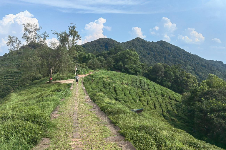 Hangzhou Jiuxi, Shililangdang & Yunqi Day Hiking Tour