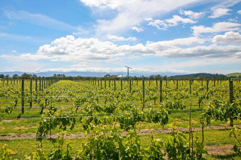 Wellington: Tour de golf de 7 días por la parte sur de la Isla NorteWellington: Tour de golf de 7 días por el sur de la Isla Norte