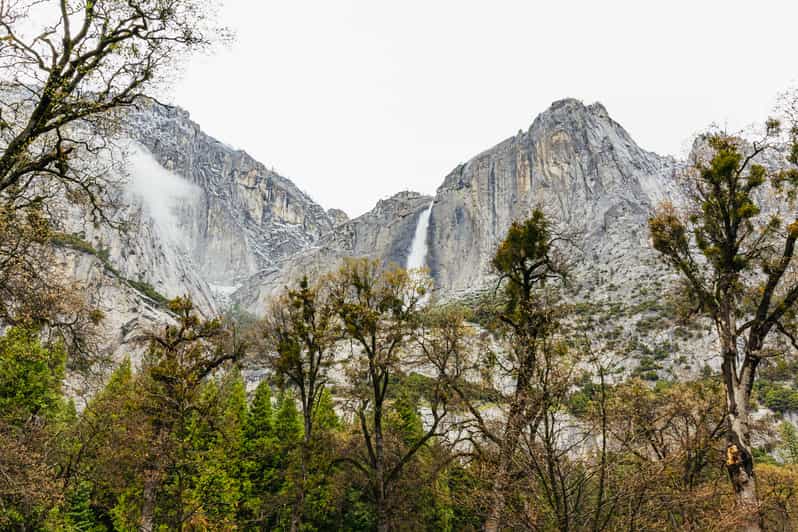 From San Francisco Yosemite Park Guided Day Trip GetYourGuide
