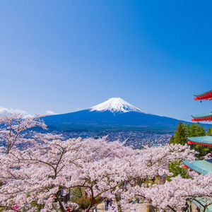 Tokyo: Mount Fuji and Lake Kawaguchi Scenic 1-Day Bus Tour