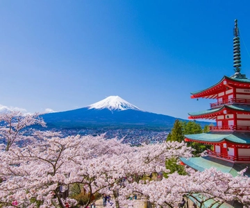 Tokyo: Mount Fuji and Lake Kawaguchi Scenic 1-Day Bus Tour