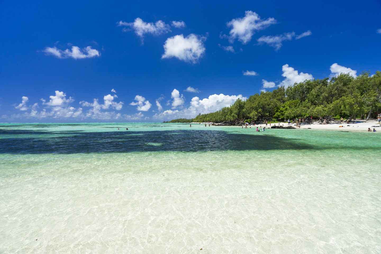 Ile aux Cerfs Speedboat Trip & Transport: Private or Shared - Ile aux Cerfs Speedboat Trip & Transport (Shared)
