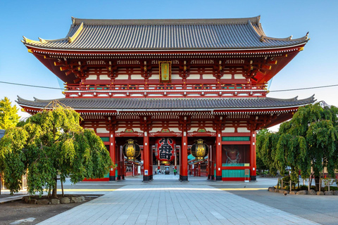 From Osaka: 5-Day Japan Highlights Tour to Tokyo