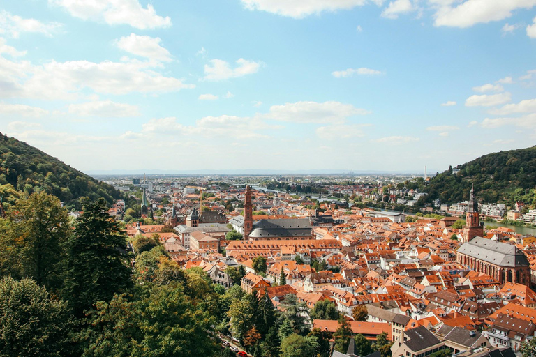 Heidelberg: Running tour with insider tip guarantee Group tour (Meeting point: Neptun-Brunnen at Adenauerplatz)