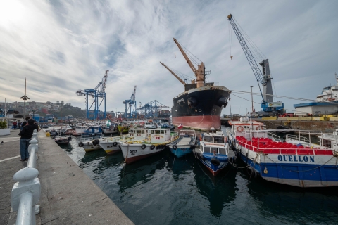 Viña del Mar y Valparaiso: tour guiado por el día Viña del Mar y Valparaíso: tour guiado
