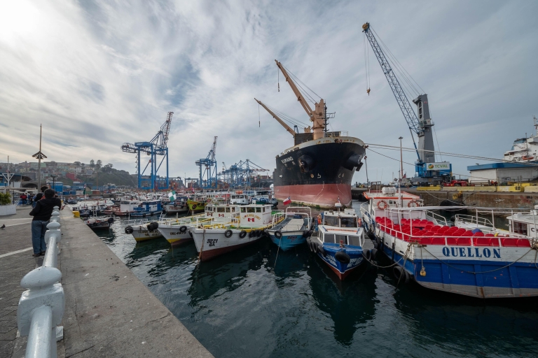Viña del Mar y Valparaiso: tour guiado por el día Viña del Mar y Valparaíso: tour guiado