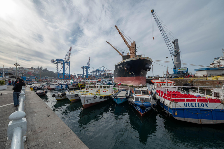 Viña del Mar et Valparaiso : visite guidée d&#039;une journée