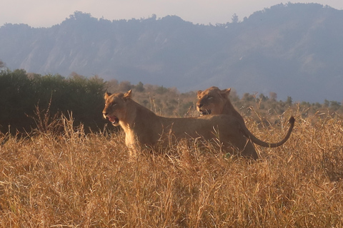 Nairobi: 3 days Lake bogoria, baringo & nakuru private tour