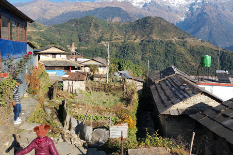 Pokhara: 7 Day Annapurna Base Camp Trek with Wildlife Tour