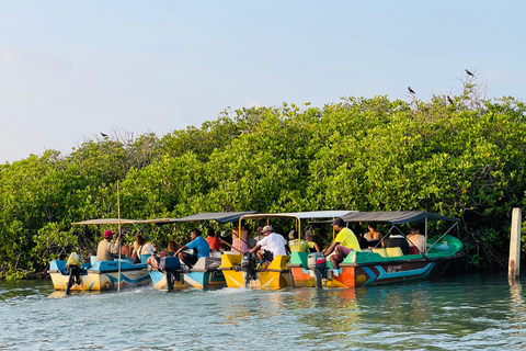 From Negombo: Boat Tour of Negombo Lagoon
