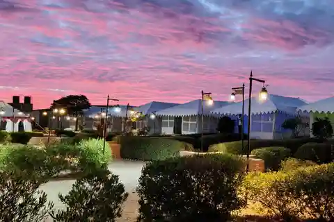 Luxury tent, dinner, breakfast, camel ride in thar desert