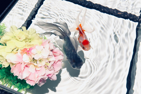 Tokyo: Art Aquarium Museum GINZA Entry Ticket