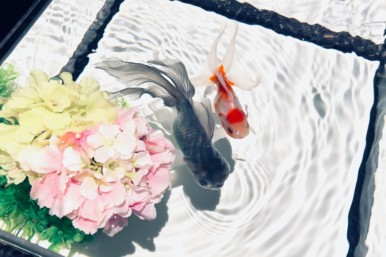 Tokyo: Art Aquarium Museum GINZA Entry Ticket