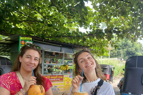 Kandy: Private Tuk Tuk City Tour with Local Guide