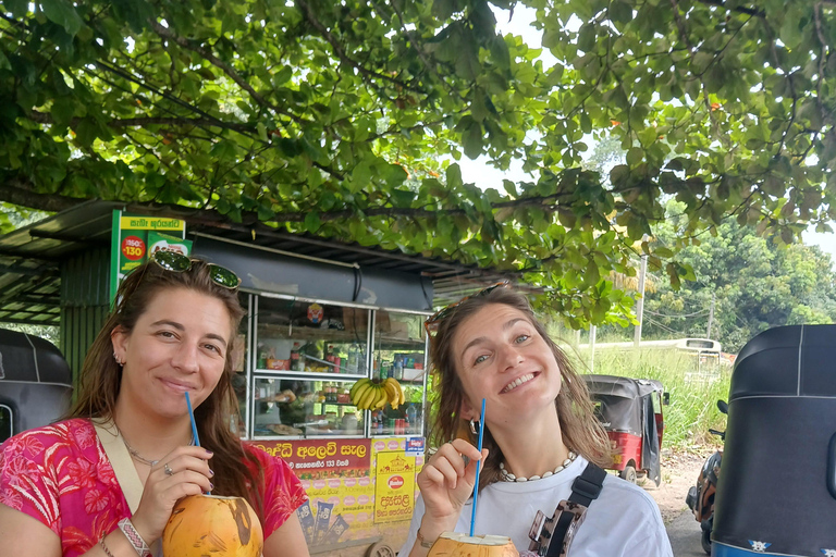 Kandy: Private Tuk Tuk City Tour with Local Guide