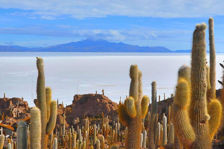 Depuis Uyuni : Geyser et plaines salées d&#039;Uyuni 3 jours | Flamingos |