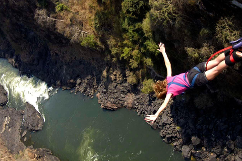 Pick up dall&#039;aeroporto e bungee jumping sul ponte di Vic Falls