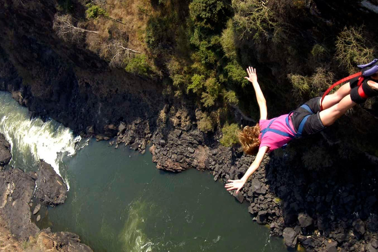 Pick up dall&#039;aeroporto e bungee jumping sul ponte di Vic Falls