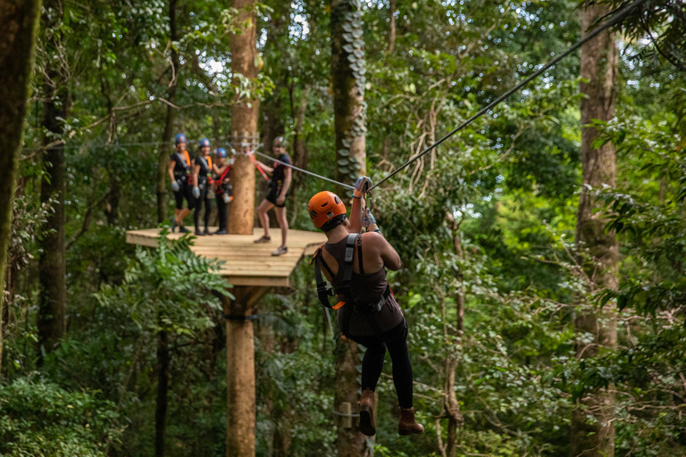 Port Douglas: Daintree Rainforest, Ziplining & Reef - 2 Days Private Double/Twin with Ensuite