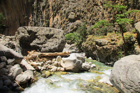 De Chania: Caminhada de 1 Dia à Garganta de SamariáDe Kalyves ou Almyrida