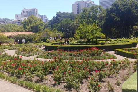 Cape Town: Apartheid History and City Walking Tour