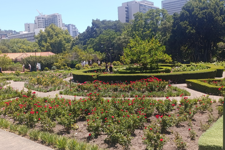 Cape Town: Apartheid History and City Walking Tour