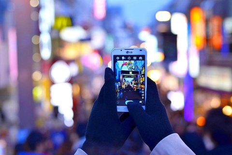 Harajuku: Meiji Shrine, Takeshita Street & Animal Cafe Walk