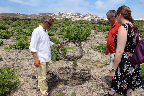 Santorini: excursão privativa de 5 horas para degustação de vinhosSantorini: Tour particular de 5 horas ao pôr do sol com vinho