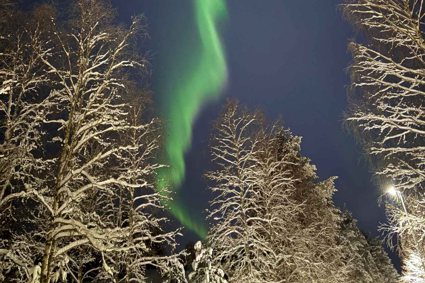 Desde Rovaniemi: Tour de Auroras Boreales con Refrigerios en la Fogata