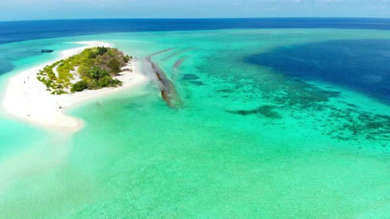 Ab Sansibar: „Safari Blue“ – Schnorcheltour mit Mittagessen