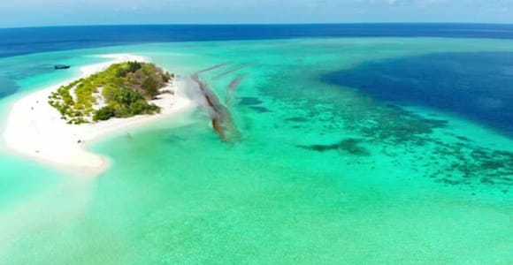 Zanzibar: Private Safari Blue Snorkeling Trip with Lunch