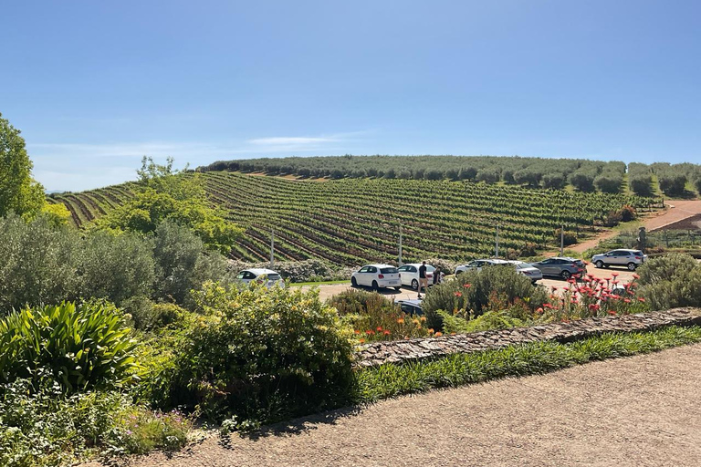 Experiencia en Cape Winelands: Paarl, Stellenbosch y FranschhoekExperiencia en los viñedos del Cabo: Paarl, Stellenbosch y Franschhoek