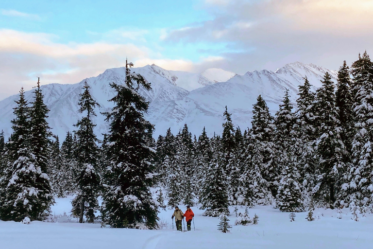 Guided Snowshoeing Adventure from Seward, Alaska 6-Hour Tour