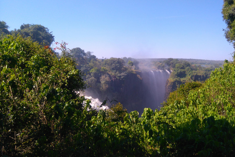 Guided Tour of the Victoria Falls