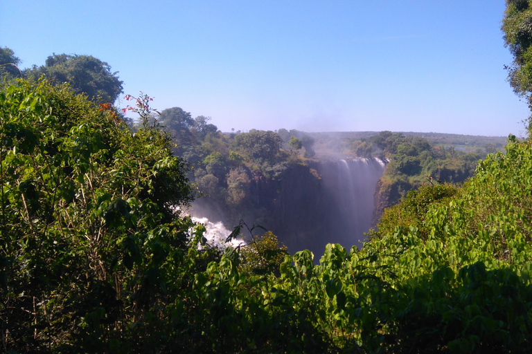 Guided Tour of the Victoria Falls