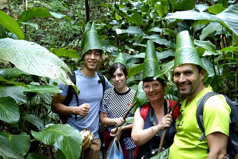 Chiang Mai: One Day Eco-Trek, Elephant care & Bamboo Rafting