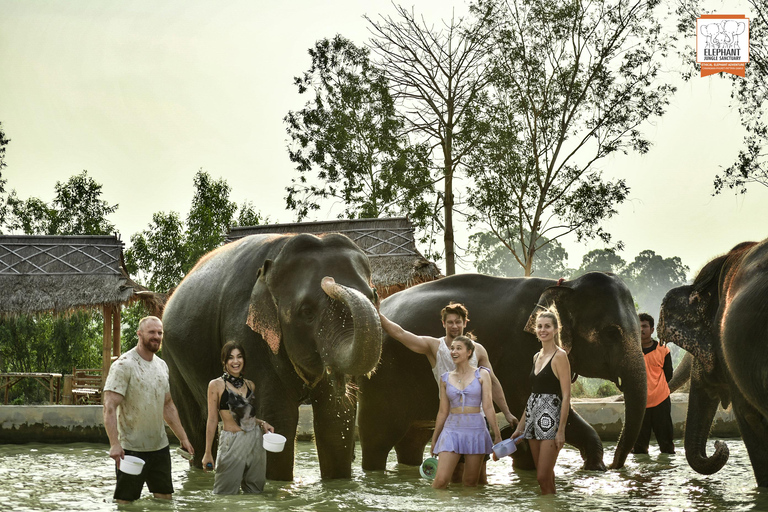 Bangkok: Pattaya Elephant Jungle Sanctuary halvdagsturTur med privat transfer